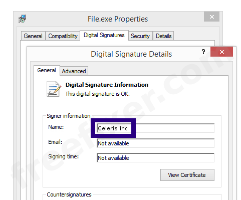Screenshot of the Celeris Inc certificate